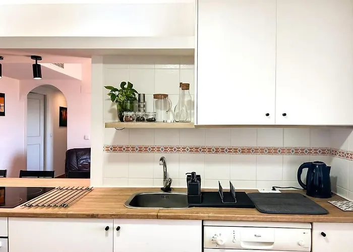 Apartment Modern Duplex With Bbq Rooftop *